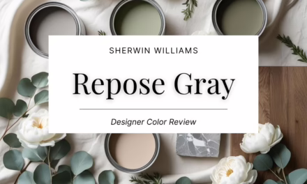Sherwin Williams Repose Gray (SW 7015) Color Review