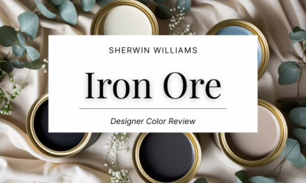 Sherwin Williams Iron Ore (SW 7069) Color Review